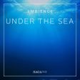 Ambience - Under the Sea Supply