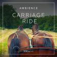 Ambience - Carriage ride For Sale