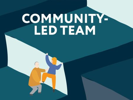 Community-Led Team : How to Create a Team That Leads Itself on Sale